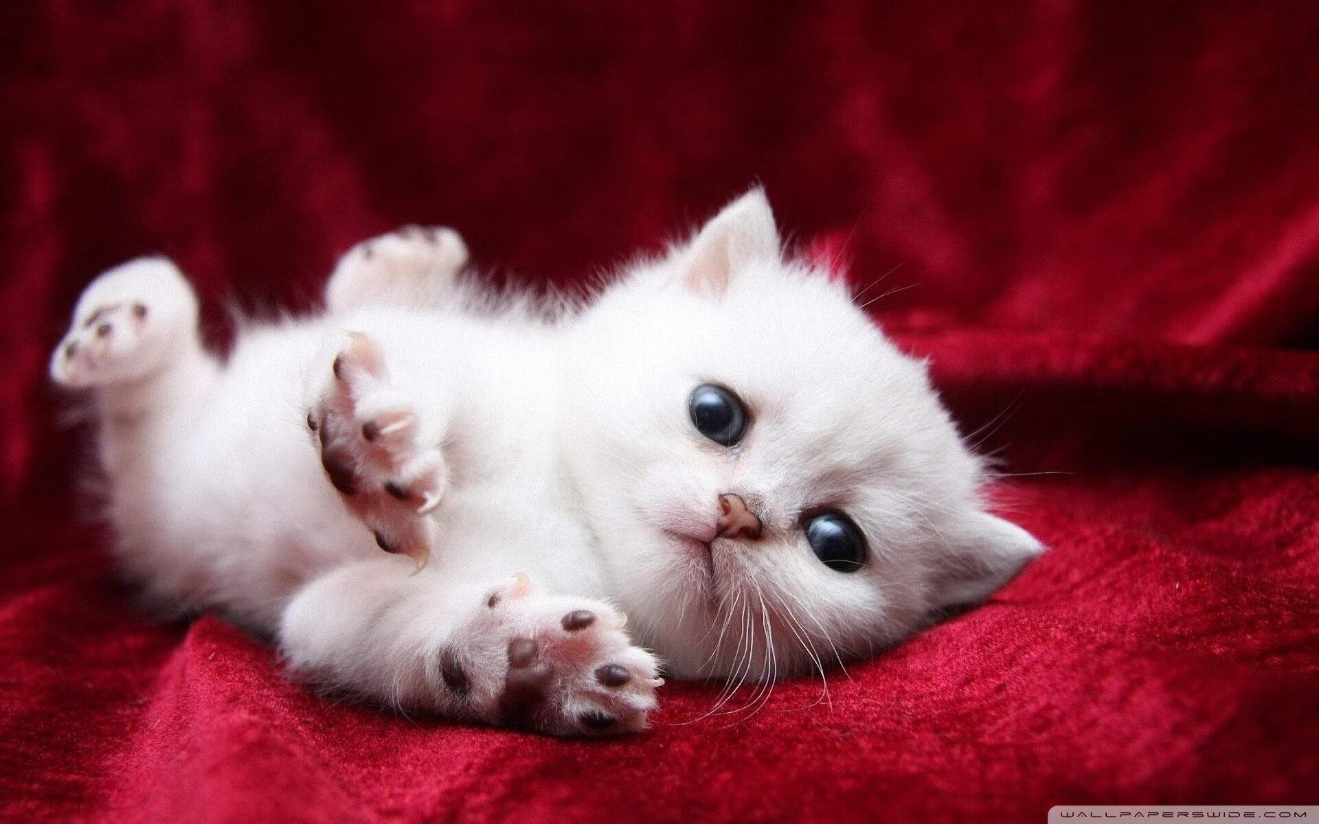 【新技术应用】智能监控辅助防守策略的未来前景，智能辅助综合监控系统定义及组成