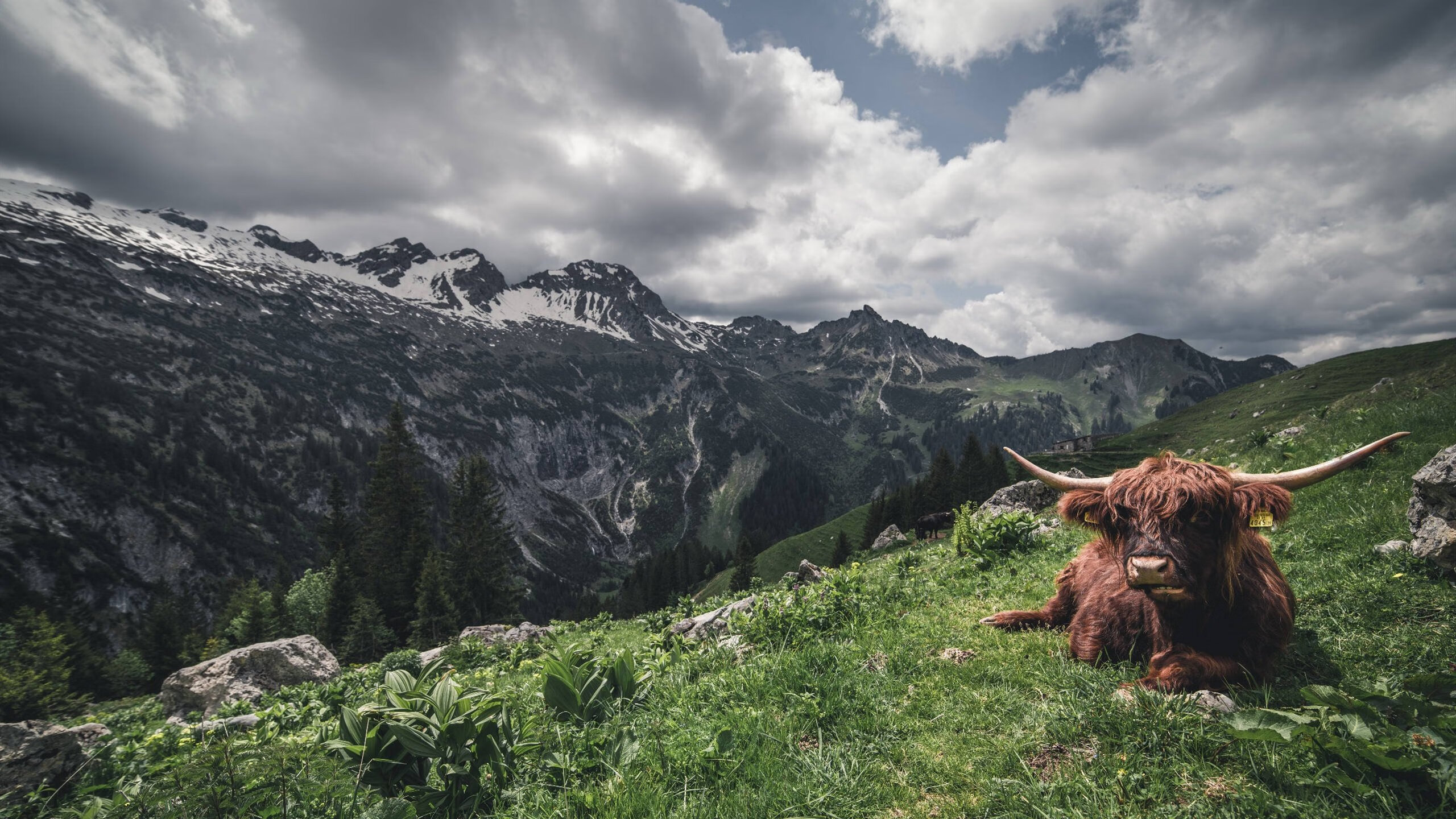 Jiuyou-电竞产业与快消品产业的结合：品牌营销与用户推广，电竞行业消费者分析