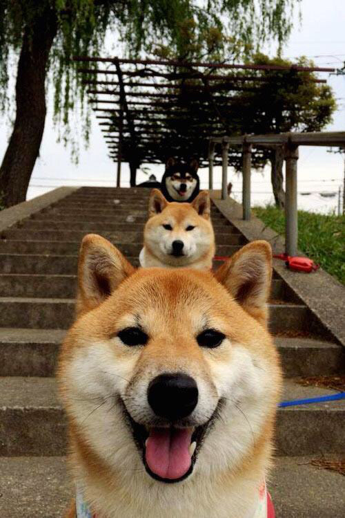 九游官网下载电脑版-篮球青少年比赛裁判员综合素质提升，篮球裁判员培训