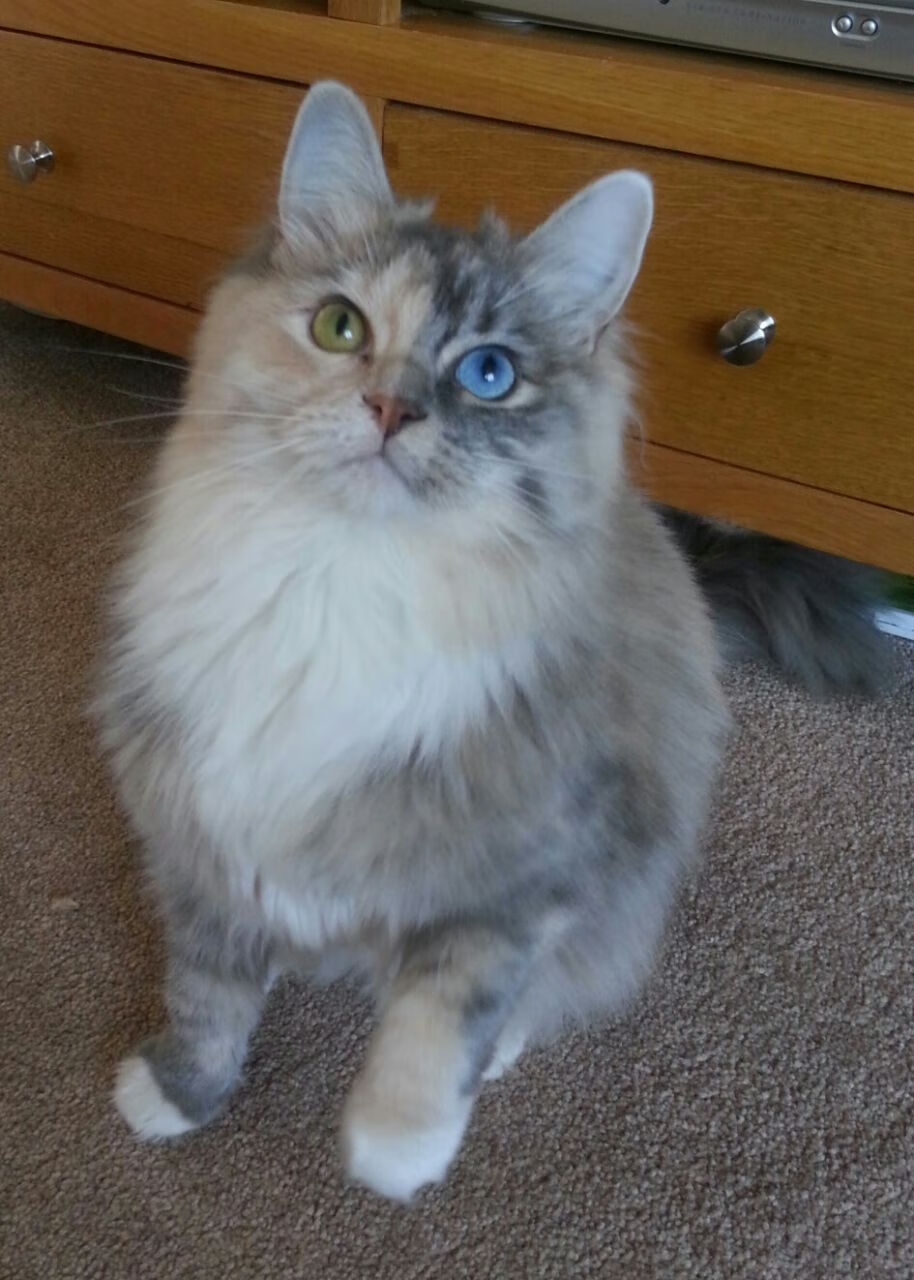 九游娱乐-绿色能源先锋：联盟践行环保理念，打造“绿色赛场”，绿色环保能源有限公司