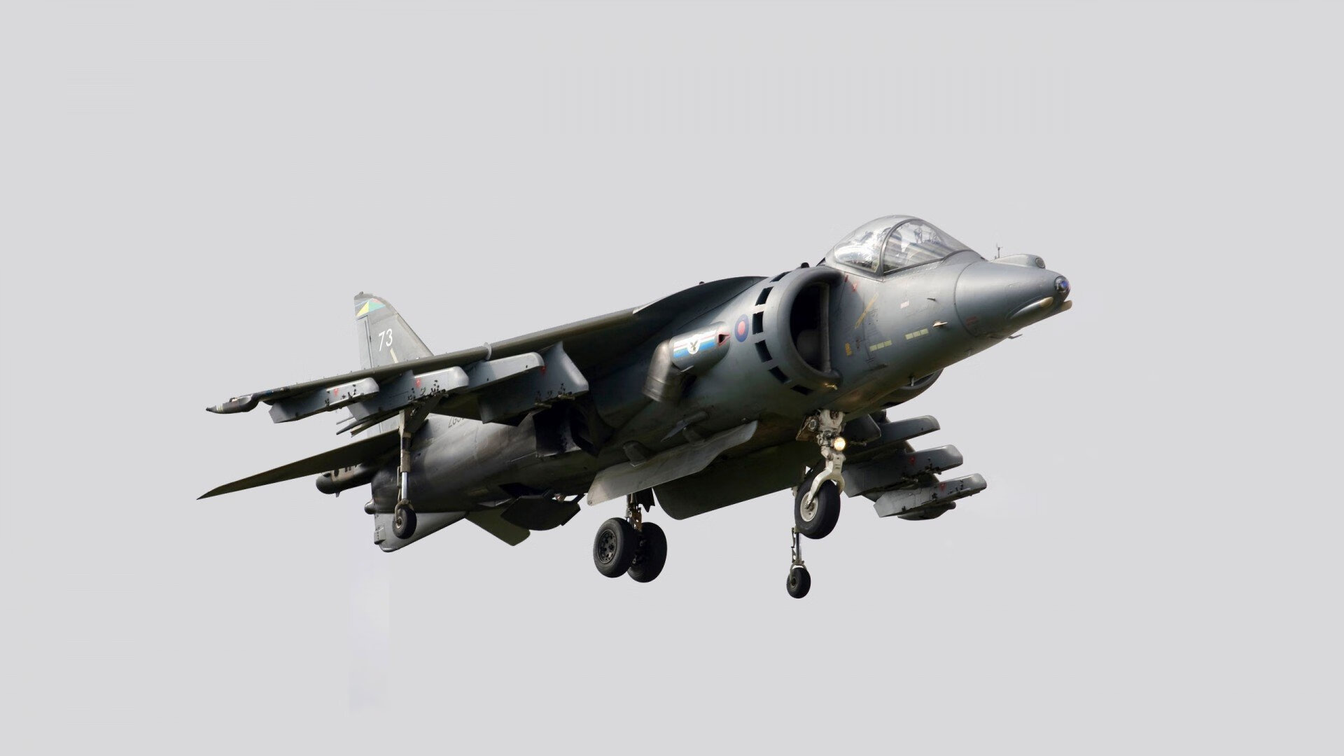 九游登录入口-美国骑手艾丽西亚·伯杰和凯特·福夸在巴黎青少年马术比赛中表现出色，获得多项荣誉。