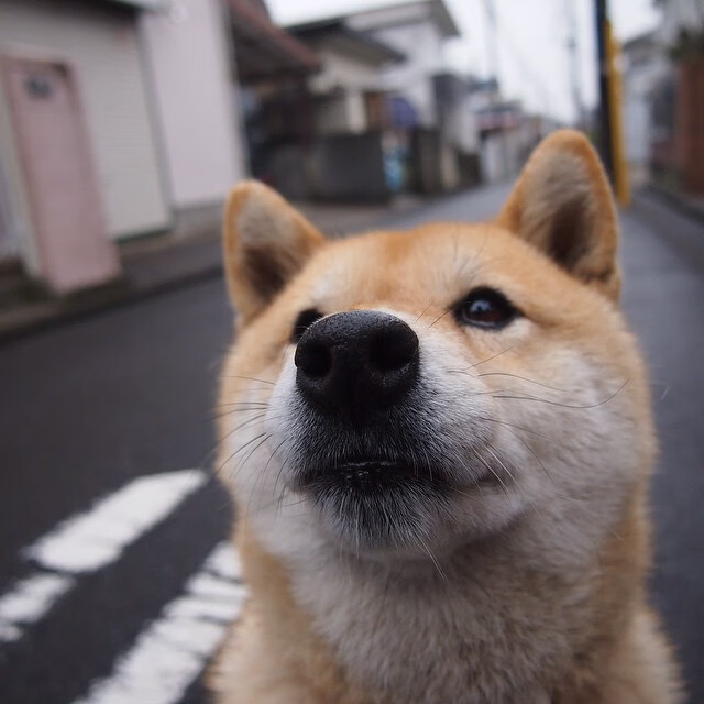 九游网游官网-逆转奇迹：北京队在最后一分钟实现令人震惊的反超！，nba逆转奇迹