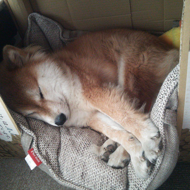 世界级赛事轰动一时,引爆热潮,世界级大赛