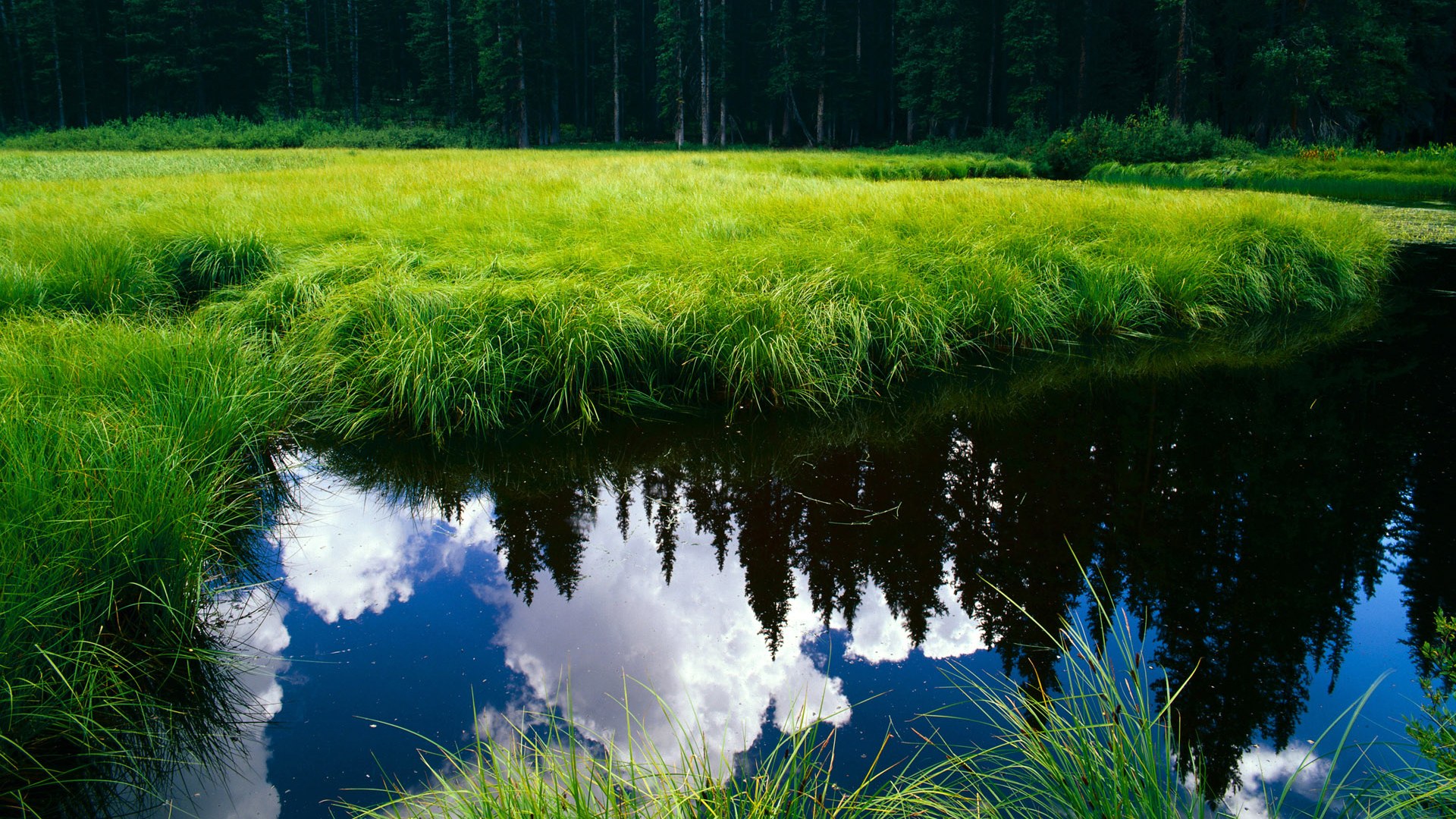 南美舞台：巴西女足载誉挑战法国队，巴西国际女足