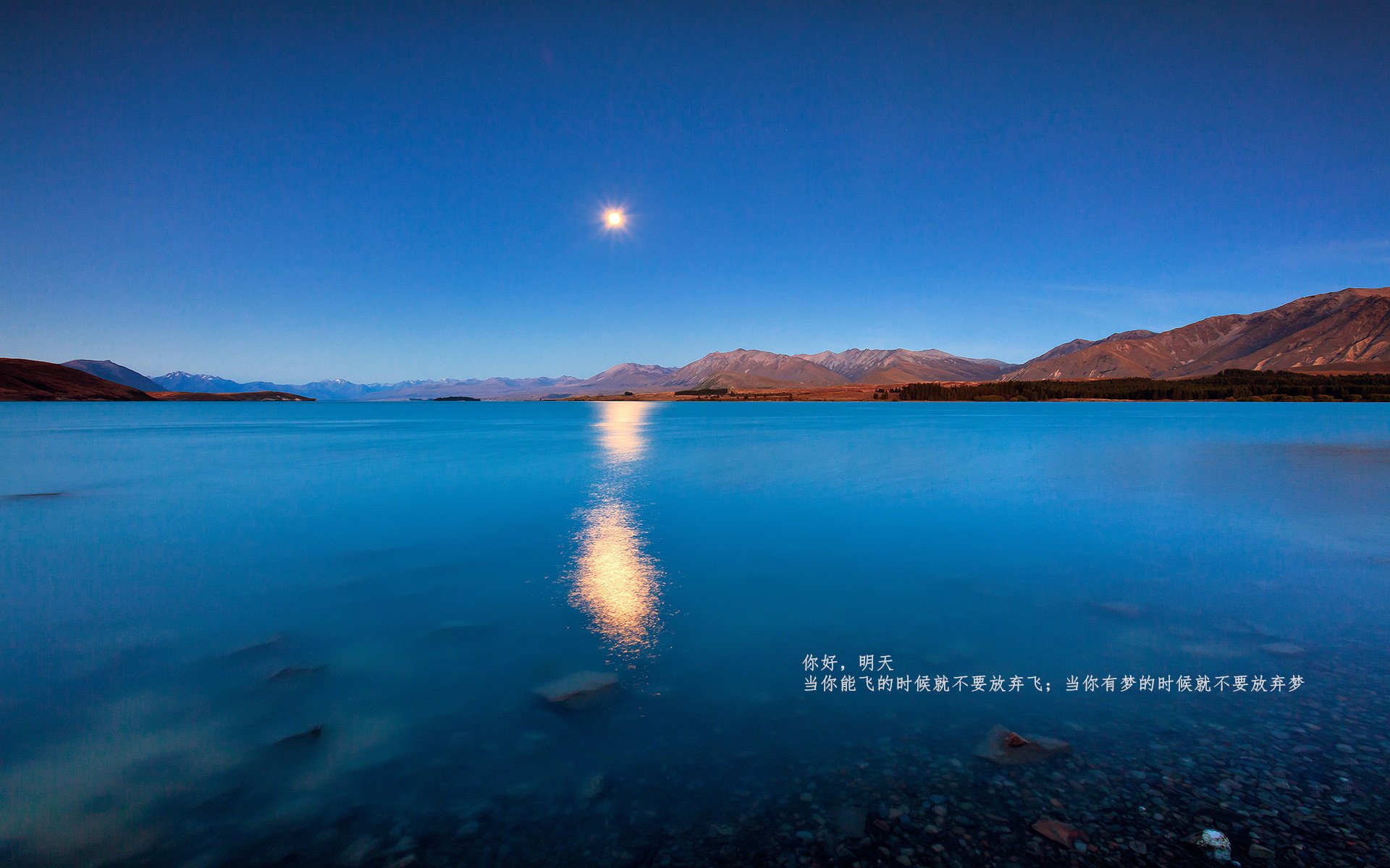 对手神勇表现，主场作战岌岌可危，对手球队