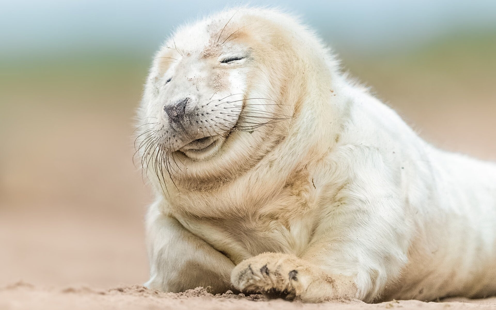 九游9游-尤文图斯集训备战，奋力追求胜利之路，尤文图斯训练