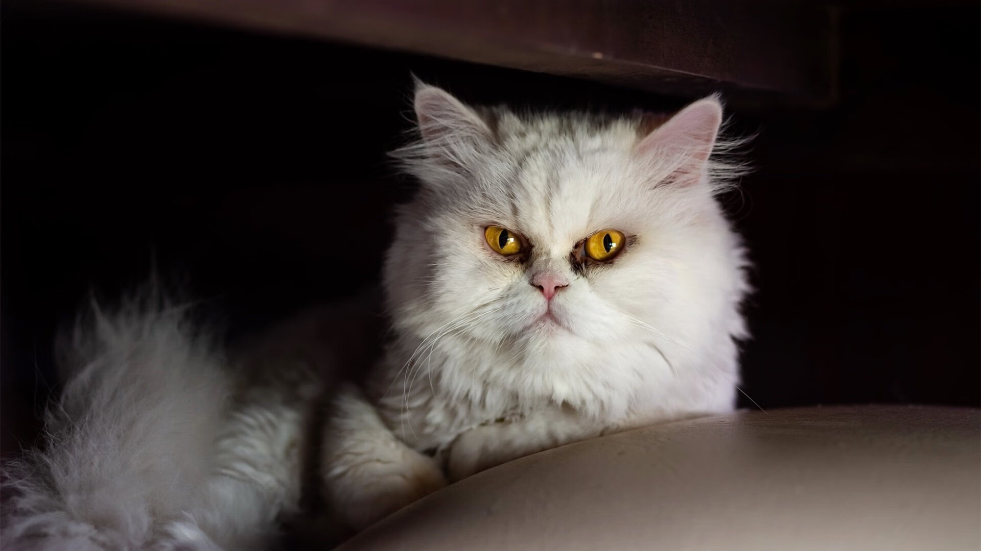 九游下载官网-巴塞罗那遭遇连平，主帅面前逆境，巴塞罗那的对手