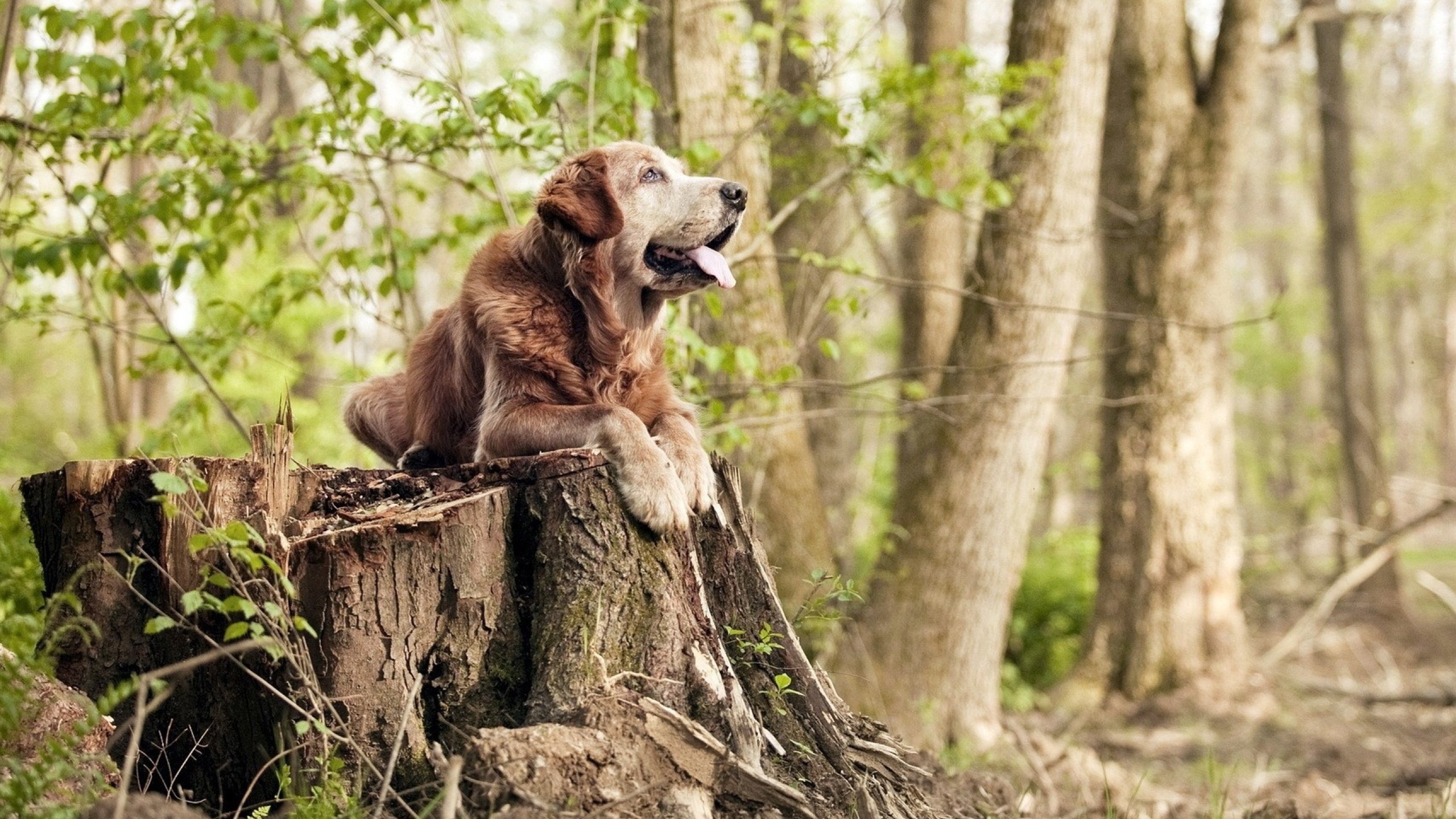 九游网页版官网入口-福建天信取得胜利，球队士气高昂，(021) 5687 6393