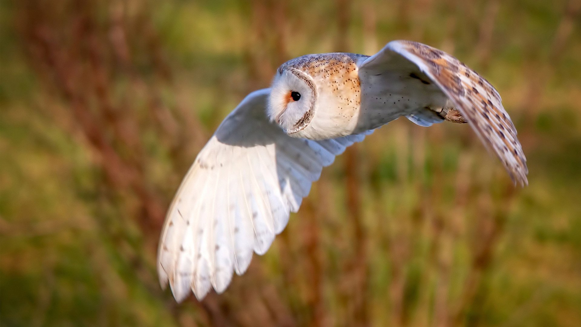 九游下载安装-西班牙队绝杀克罗地亚，提前获得小组第一，西班牙打克罗地亚比赛结果