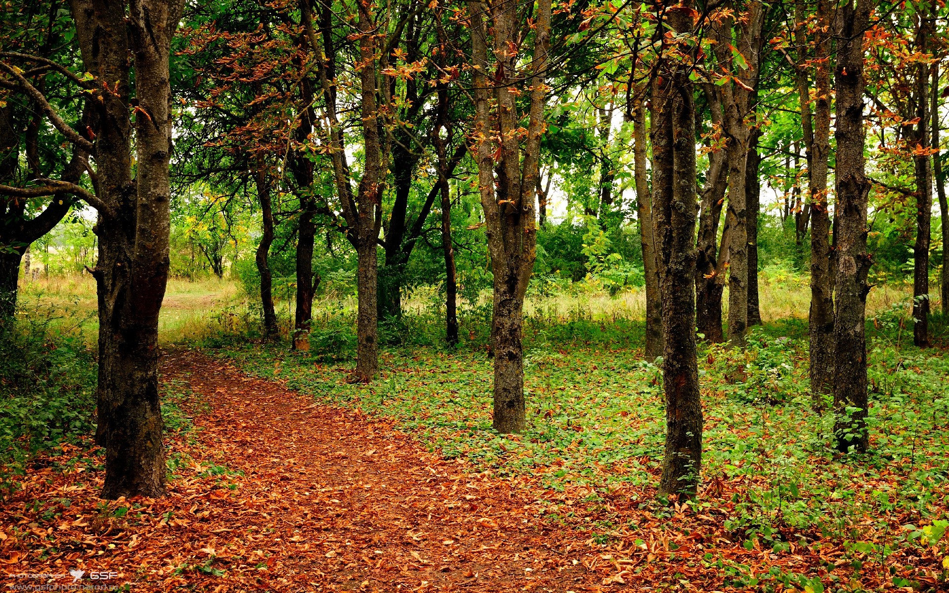 九游娱乐官网 (JIUYOU)-贝尼亚索尔-险胜卡利亚里，巴塞尔制胜球，贝尼亚特圣何塞