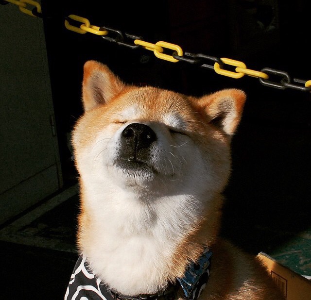 败局中寻找胜利之路,全队凝聚合作精神,失败中寻找胜利