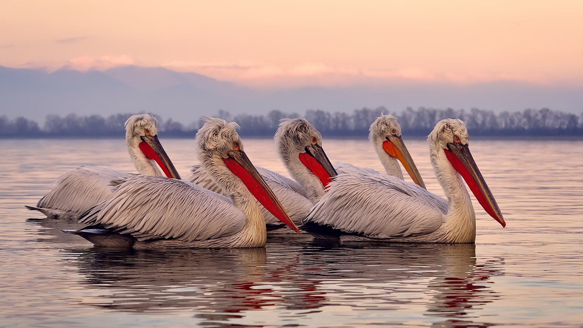 世俱杯：亚洲球队历史最佳表现回顾，世俱杯历年
