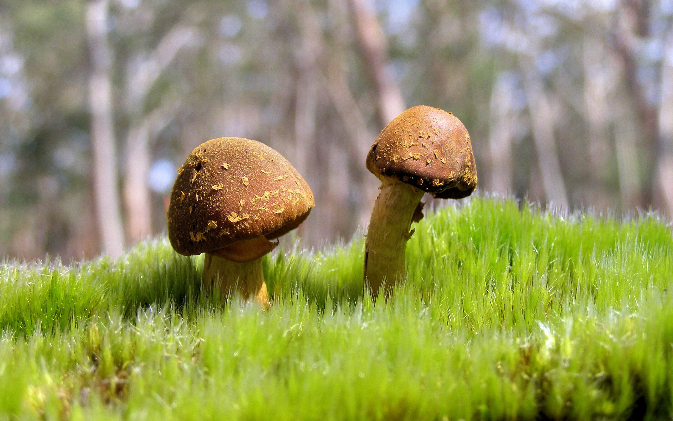 体育产业政策支持力度,体育产业政策支持力度有多大