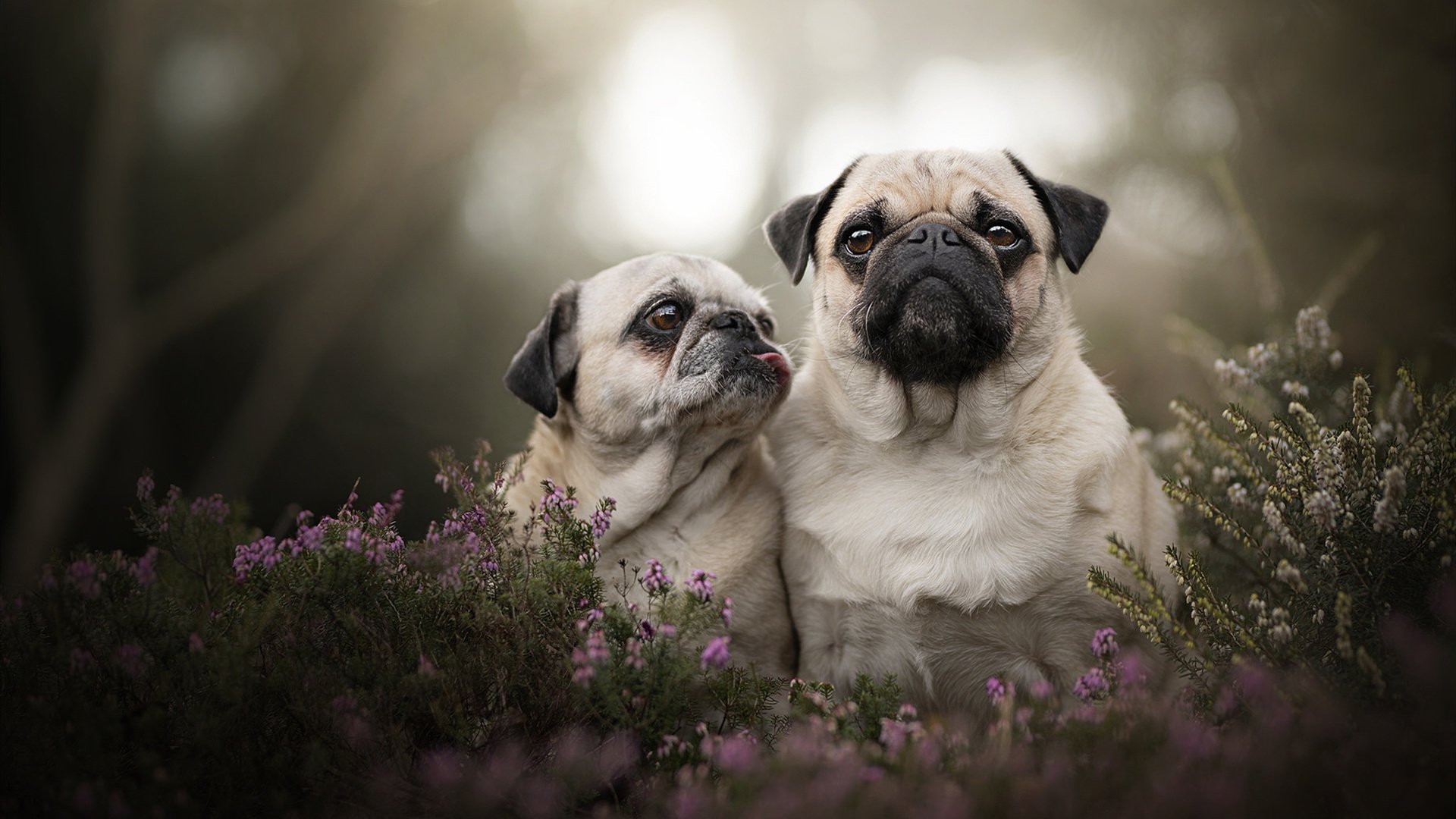 篮球运动员专项技能动作优化分析，篮球运动员专项训练