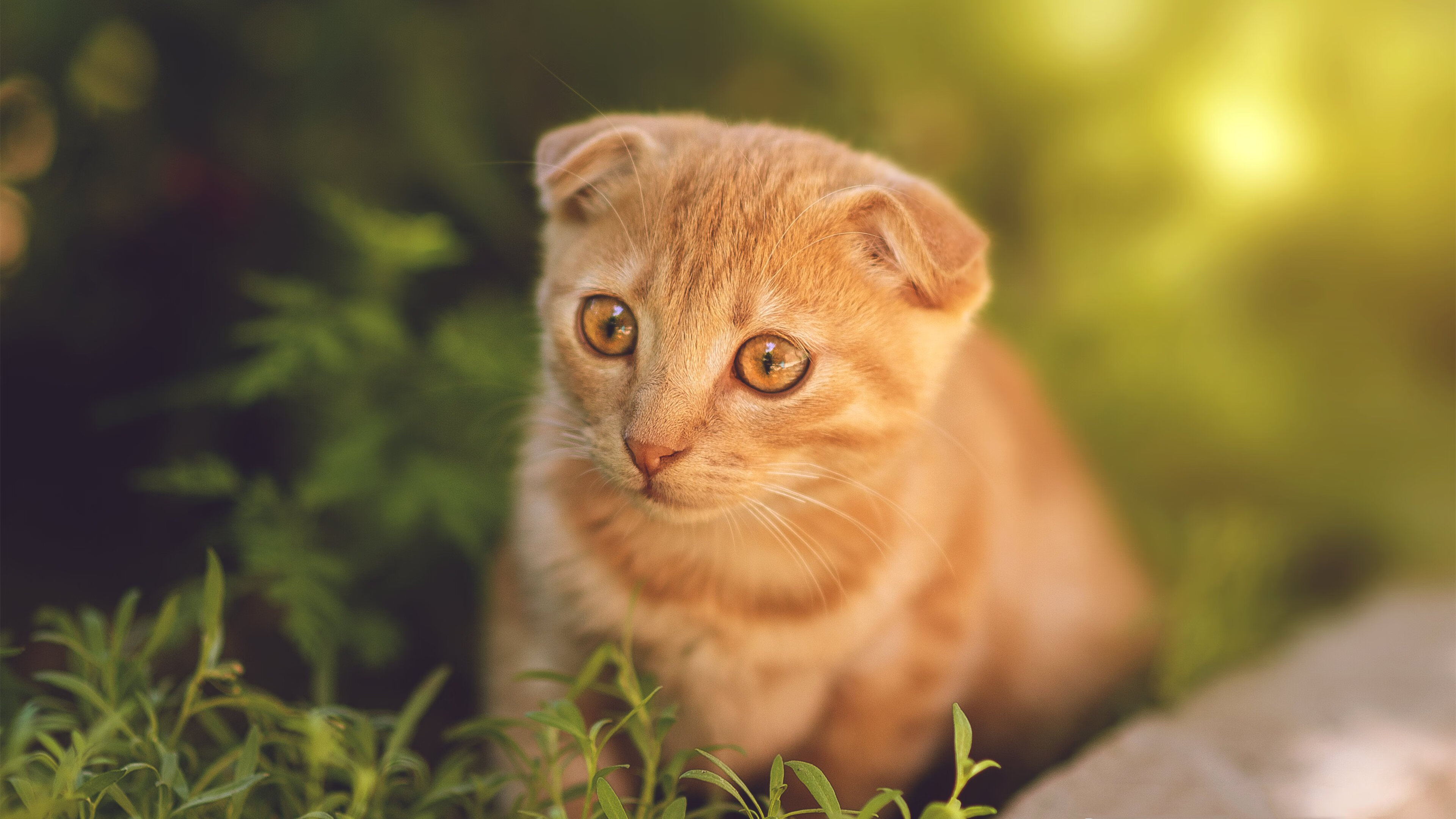 九游电脑版-中国三人男篮加速培养替补阵容 增强板凳深度，中国男篮三人组
