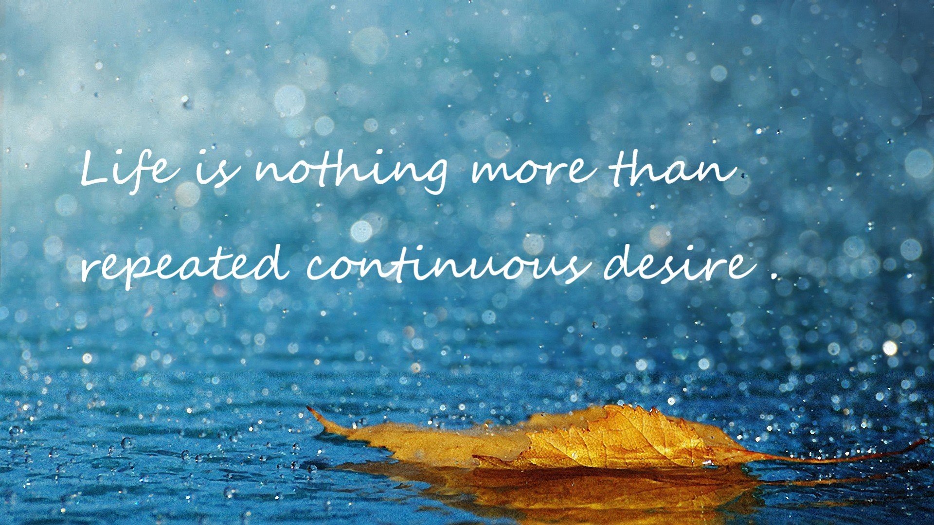 快节奏中是否容易被反快攻打出回击,快节奏是什么意思 权威解释