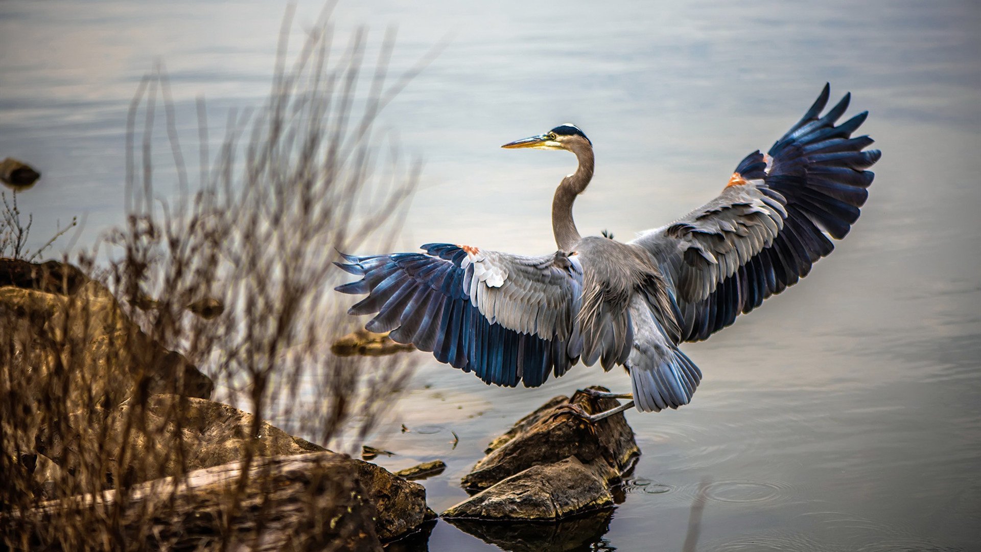 九游娱乐APP-英超转会市场价格变动趋势，英超转会市场关闭时间