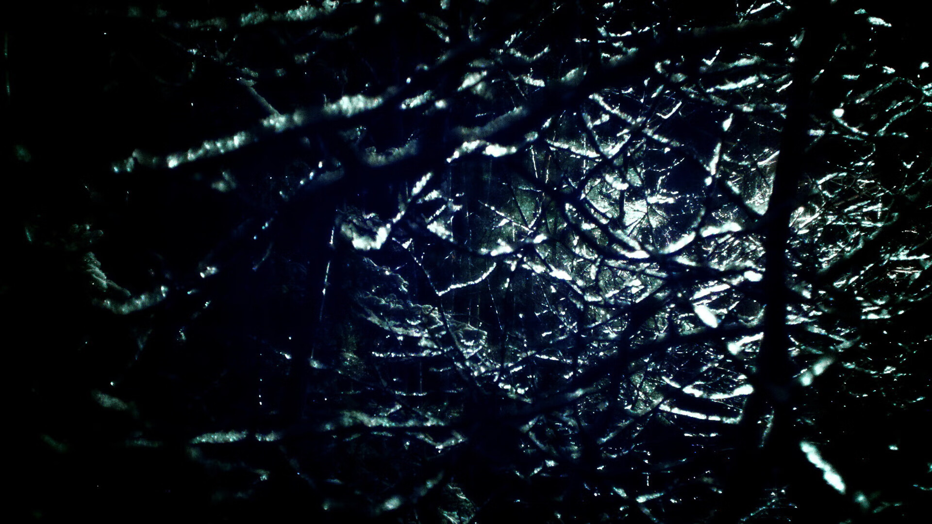 雷霆后卫通过临场指挥获得教练高度评价,雷霆队后卫