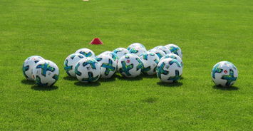 九游官网-体育旅游：足球赛季带动旅游热潮分析，足球景区