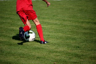 九游网游官网-意甲裁判语义分析系统在比赛判罚中的应用研究，意甲裁判名单